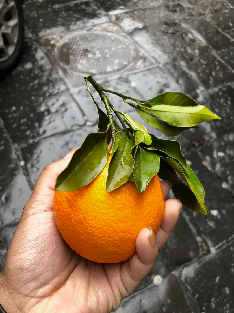 appelsinhud